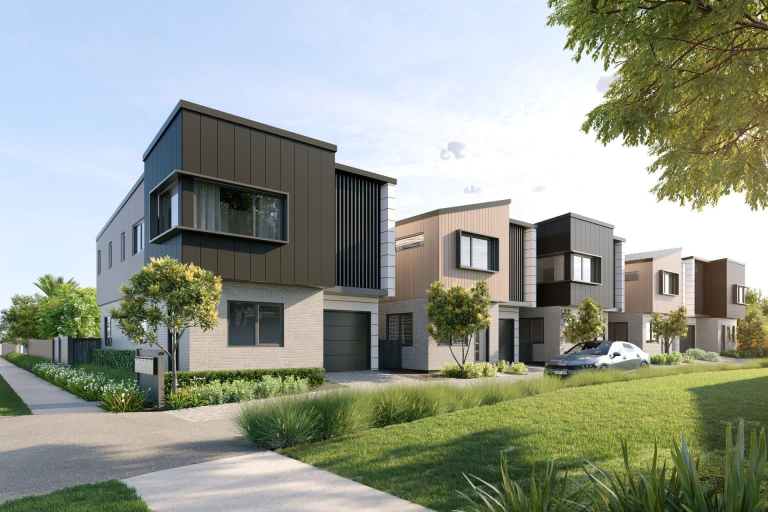 Owairaka Collection - Image 1