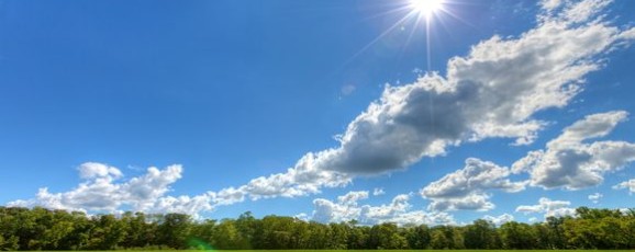 Just how important is sunshine?